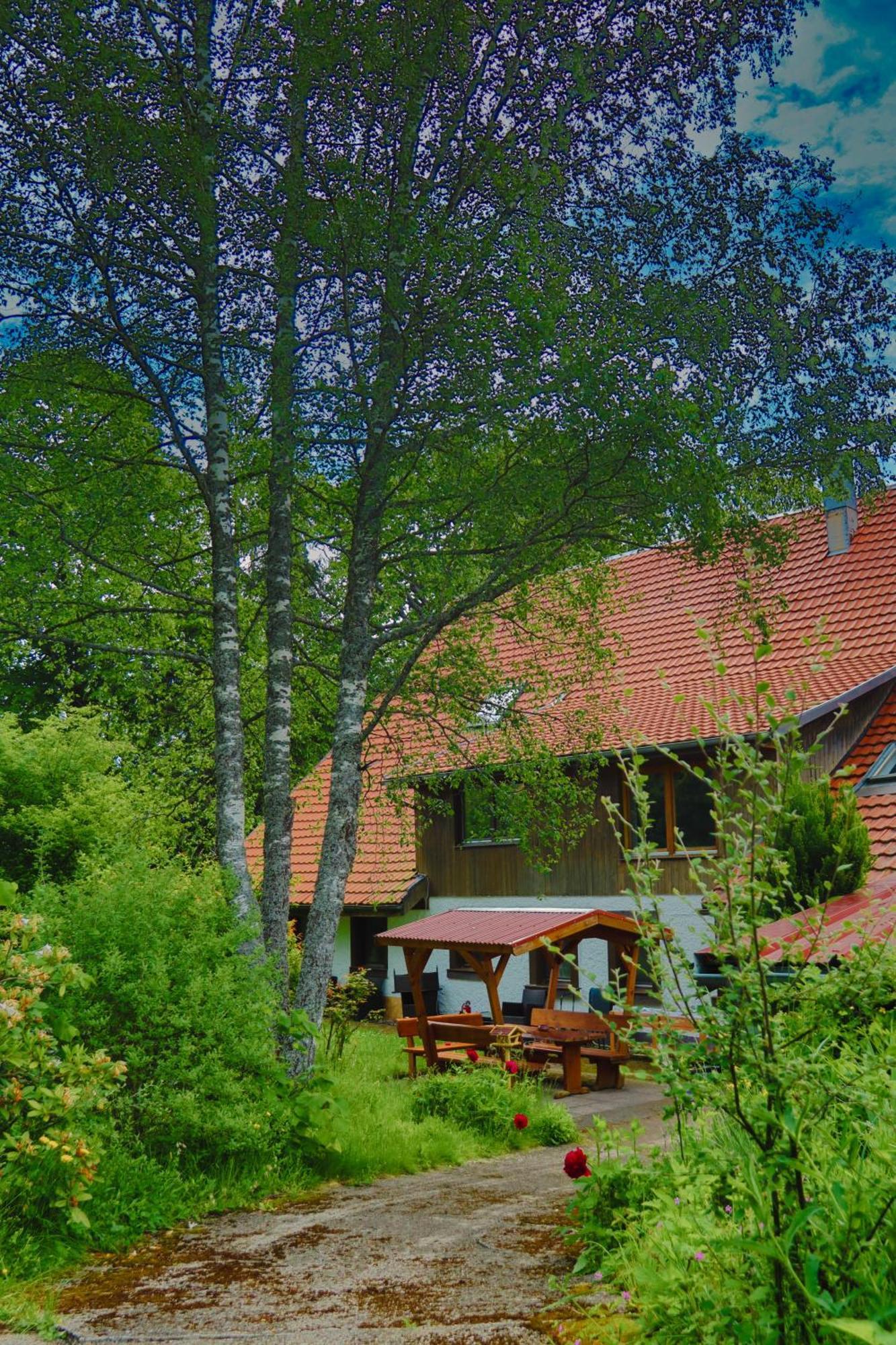 Schwarzwald Escape Guest House Gorwihl Екстериор снимка